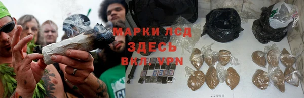 дурь Алексеевка