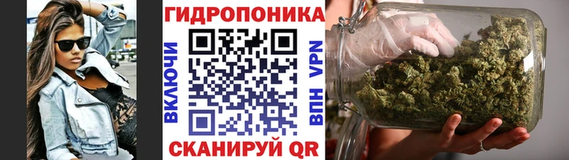 где купить наркотик  Стародуб  Канабис гибрид 